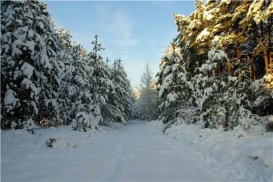 MOD高手将PC版《漫威蜘蛛侠》改成青蛙侠