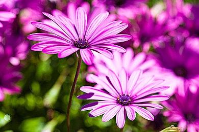 《懒人修仙传2》6月22日登陆Steam 开启抢先体验