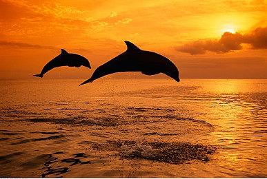 《遗忘之城》IGN 9分：台词极棒 角色塑造很出色